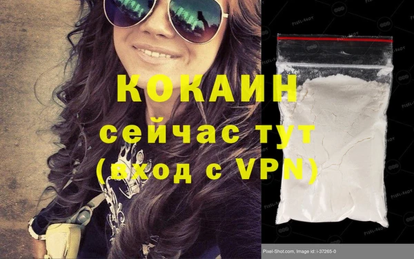 прущие грибы Горняк