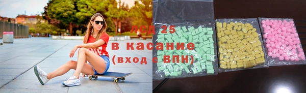 прущие грибы Горняк