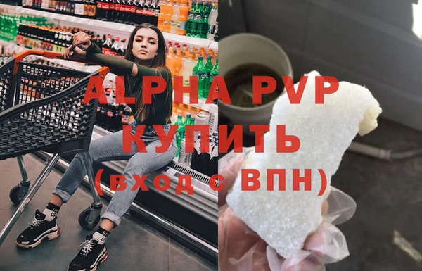 прущие грибы Горняк