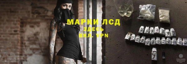 прущие грибы Вяземский