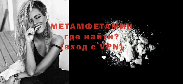 прущие грибы Горняк