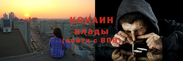 прущие грибы Горняк