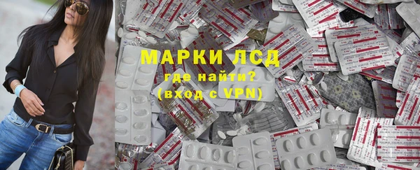прущие грибы Горняк