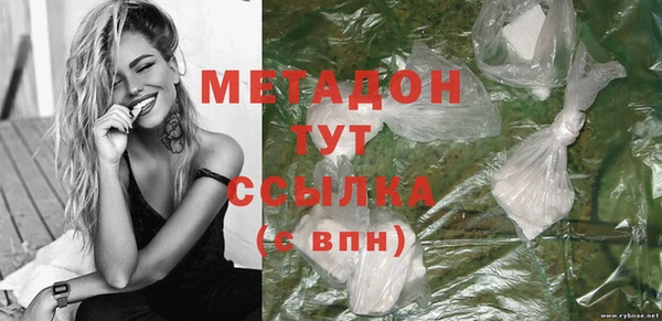 прущие грибы Горняк