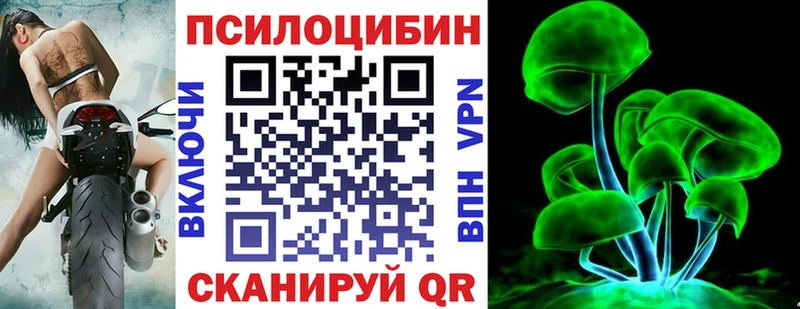 Купить где  Заволжье  Псилоцибиновые грибы GOLDEN TEACHER 
